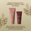 Dualis: Cleansing Essence System